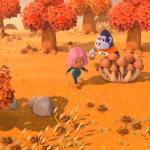 De herfst is aangebroken in Animal Crossing: New Horizons