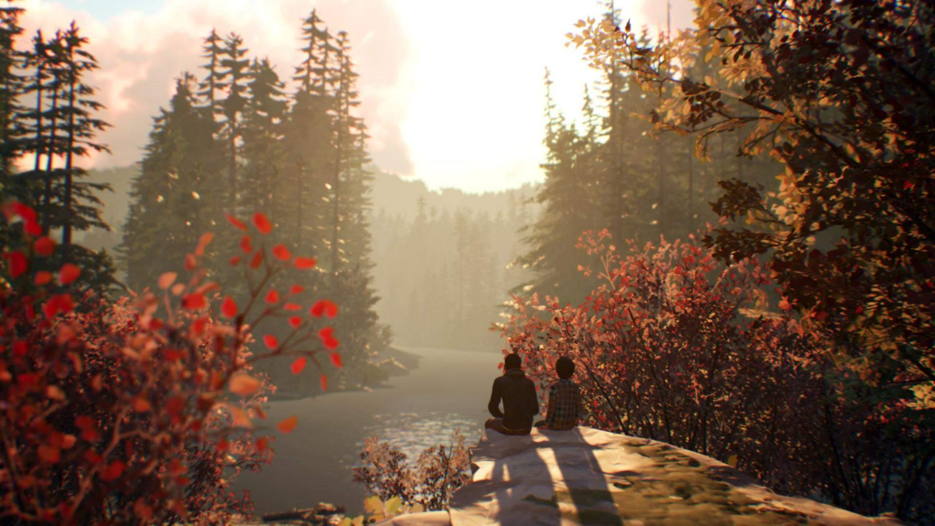 Life is Strange 2 komt naar Nintendo Switch