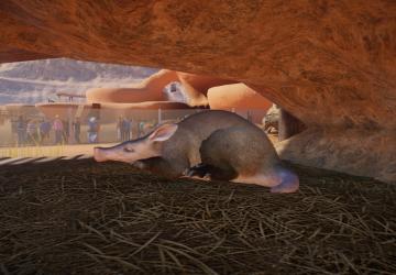 Planet Zoo: Arid Animal Pack aangekonigd