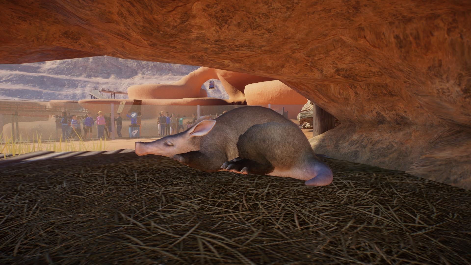 Planet Zoo: Arid Animal Pack aangekonigd