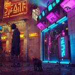Stray lanceert volgende maand