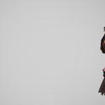 Ariana Greenblatt speelt Tiny Tina in Borderlands-film